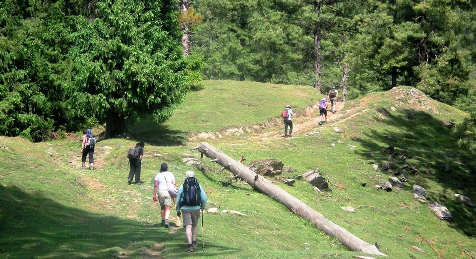 Photo of KUPPAR BUGYAL TREK - NAGAN to GIRI GANGA 8/9 by Being Out There