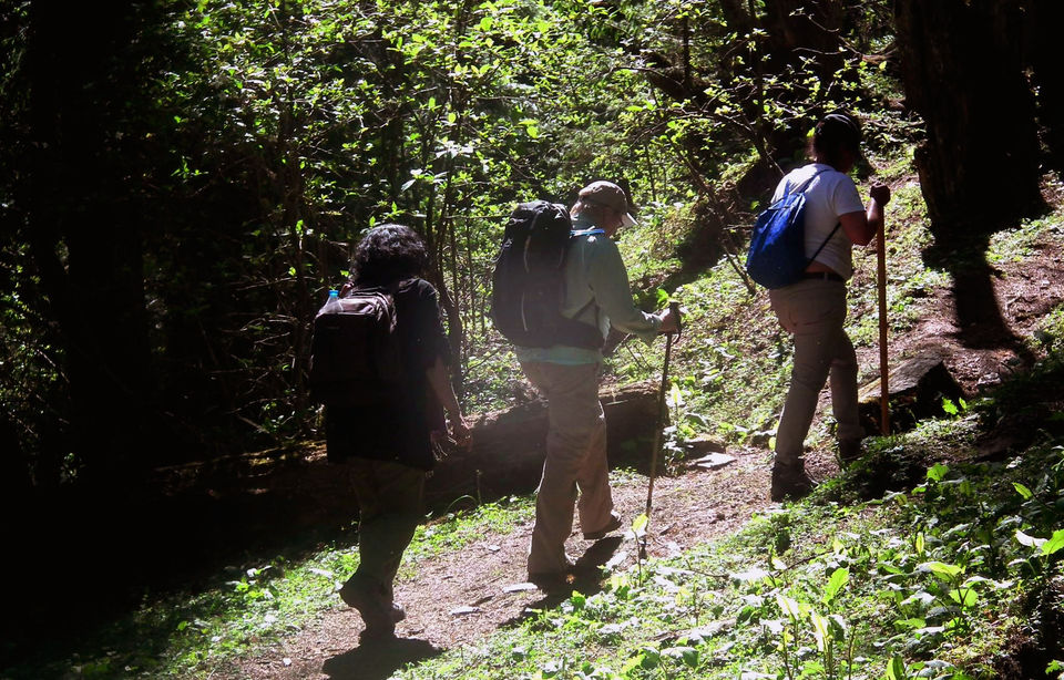 Photo of Himachal Pradesh - The best treks and short walks 1/17 by Being Out There