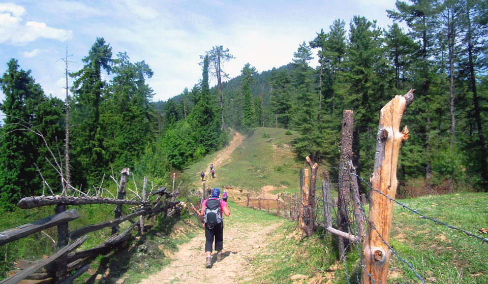 Photo of Himachal Pradesh - The best treks and short walks 4/17 by Being Out There