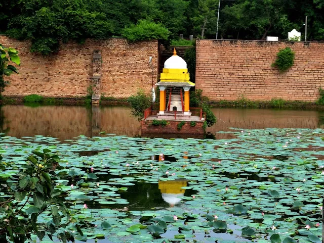 Photo of Gwalior Fort, Gwalior, Madhya Pradesh, India by Maryam Yasmin