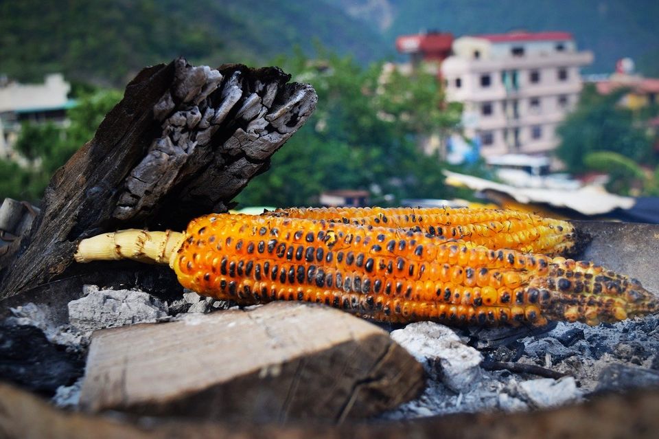 Photo of These Six Road Trips From Delhi to Offbeat Uttarakhand Should Be In Your Bucket List by Trippin' With Suchayan