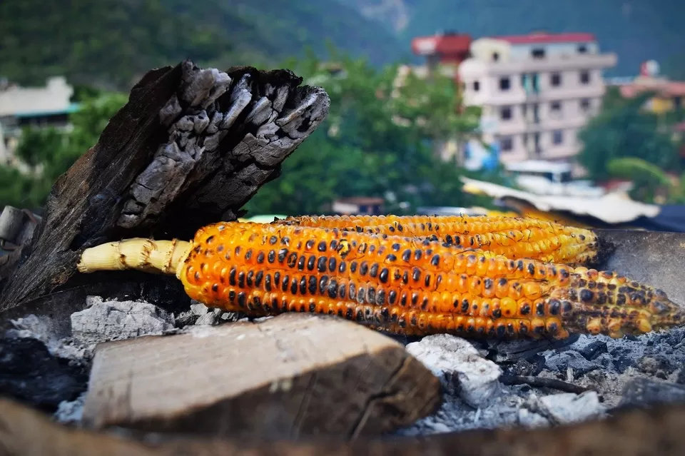 Photo of These Six Road Trips From Delhi to Offbeat Uttarakhand Should Be In Your Bucket List by Trippin' With Charlie