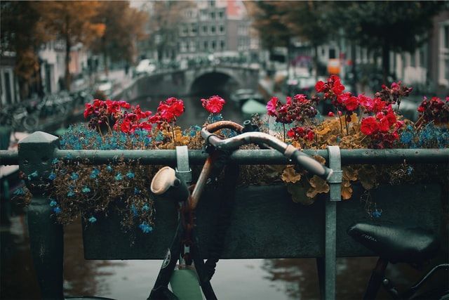Photo of Amsterdam: Of Cheap Thrills, Elastic Heart and History 3/9 by Trippin' With Charlie