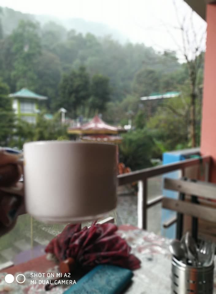 Photo of EAST SIKKIM-LAND OF YAK AND MYSTIC BEAUTY(Part 2) 8/12 by Restless Exploration