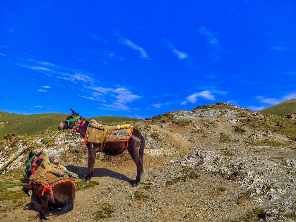 Photo of Roopkund - A lake of mysteries and memories! 3/8 by sneha Anant