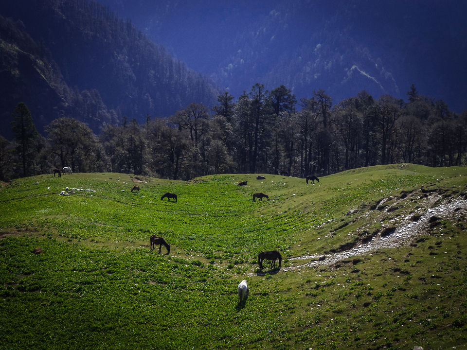 Photo of Roopkund - A lake of mysteries and memories! 5/8 by sneha Anant
