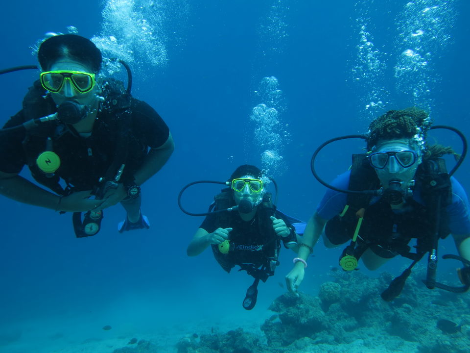 Photo of Scuba Diving: More than an adventure!!! Havelock Island,Andamans 1/3 by Amit Lamba