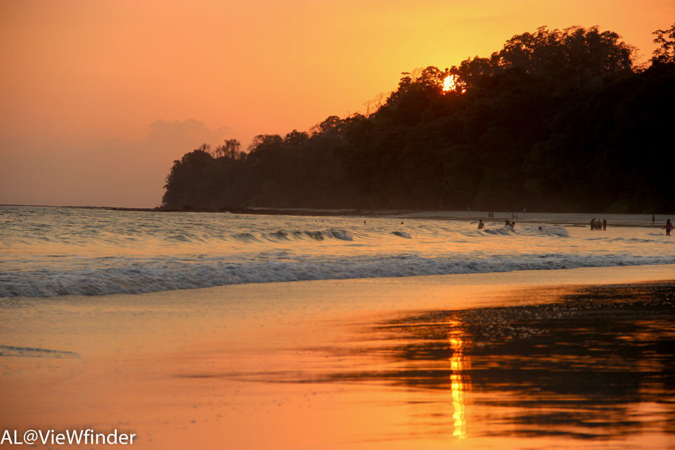 Photo of Scuba Diving: More than an adventure!!! Havelock Island,Andamans 2/3 by Amit Lamba