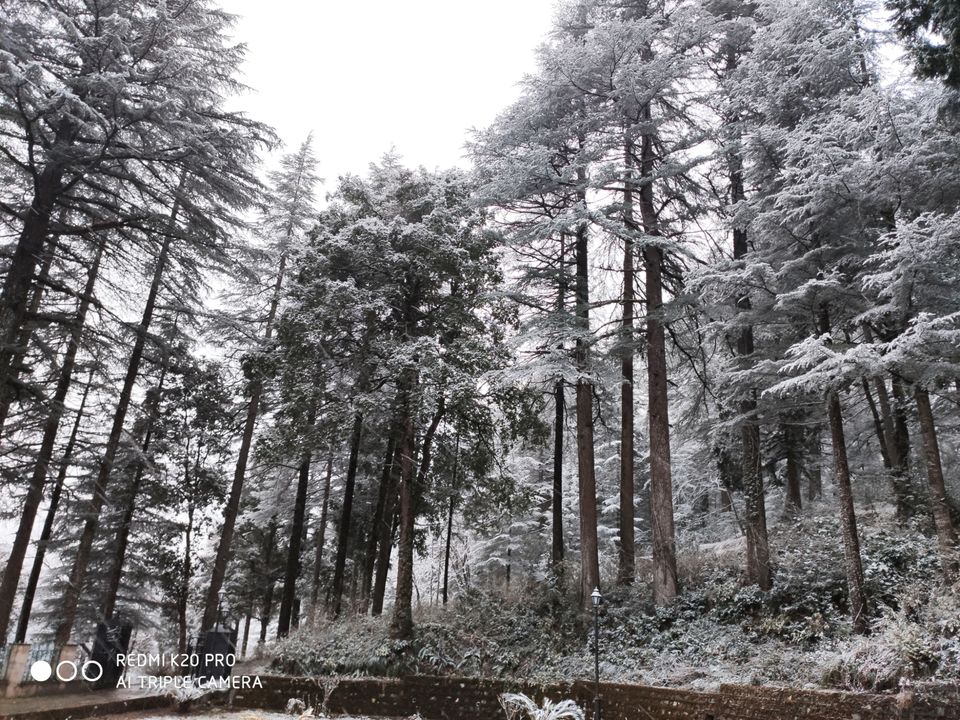 Photo of Mukteshwar, land of shiv by Nomadic Ambuj