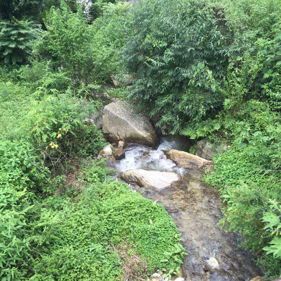 Photo of Jilling Estate, District Nainital, Uttarakhand, India by Hem Jadeja