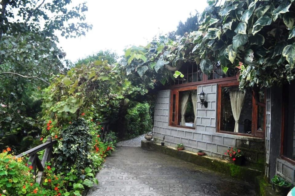Photo of Jilling Estate, District Nainital, Uttarakhand, India by Hem Jadeja