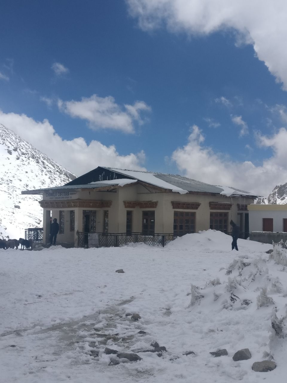 Photo of The best of Ladakh in 5 days by Mayank Checker