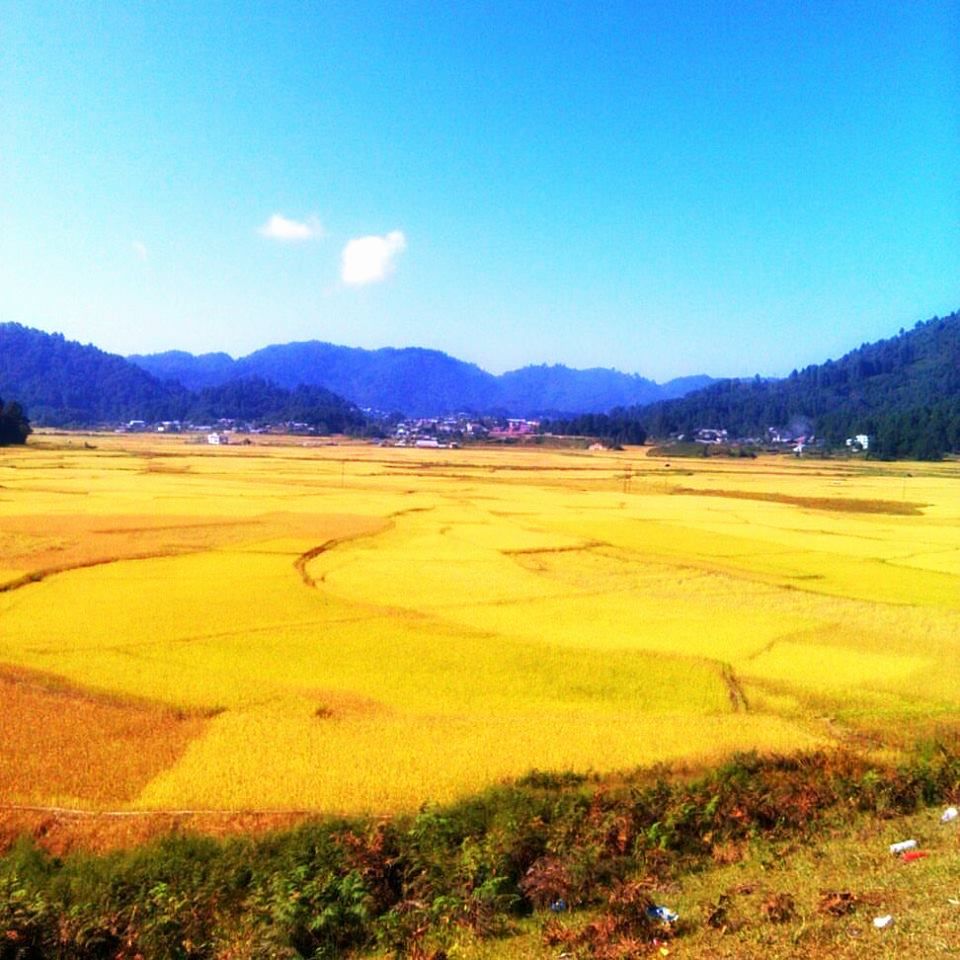 Photo of The Journey of My Life - Ziro 1/1 by Nandini Raybaruah