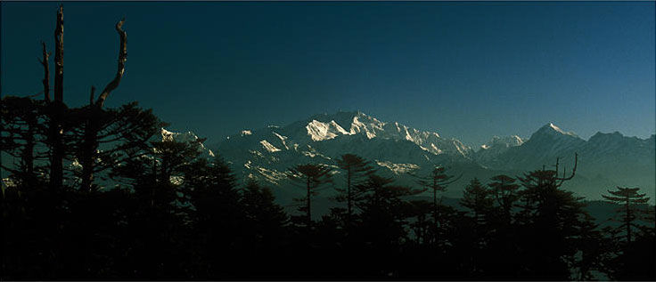 Photo of The Mountain Trails Part III - Our Sherpa turns into a hero! 1/1 by Nandini Raybaruah