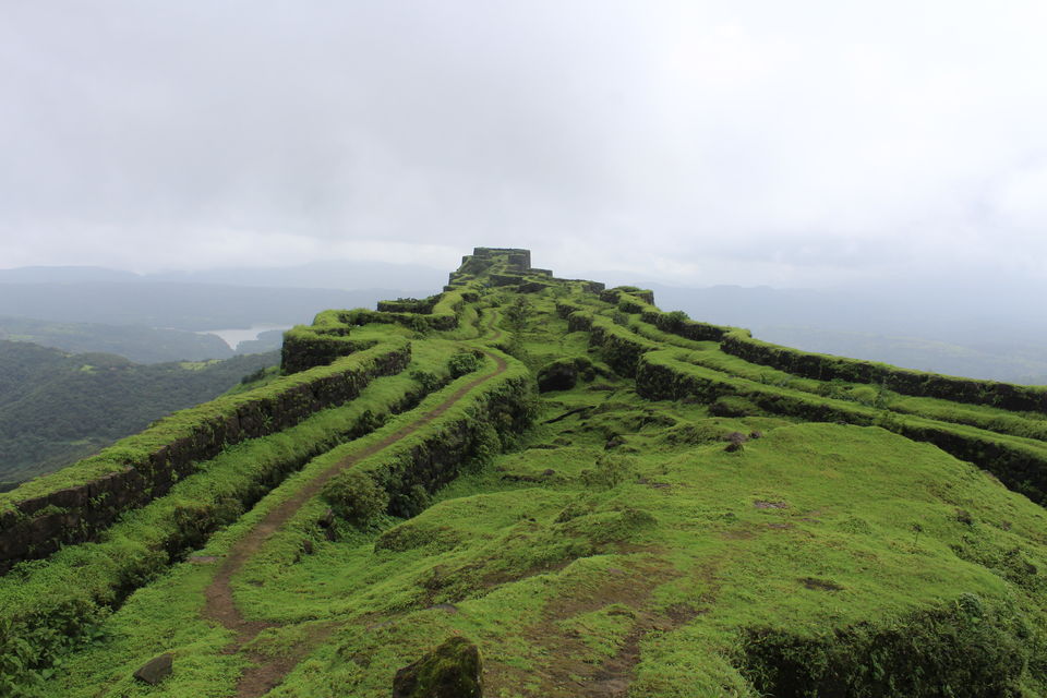 Photo of An encounter with Unvanquished Rajgad and Waghru by Hemant