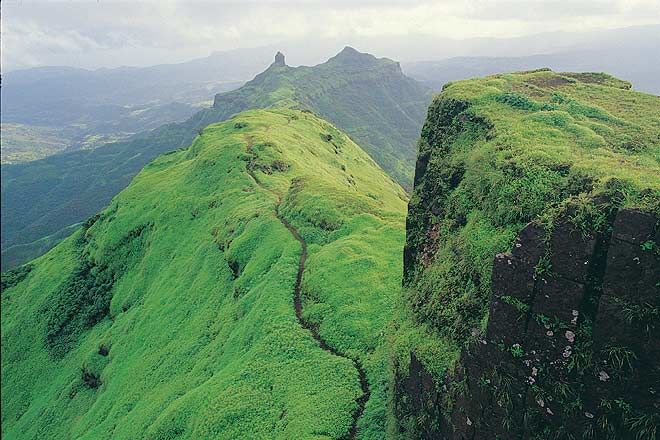 Photo of An encounter with Unvanquished Rajgad and Waghru 5/5 by Hemant