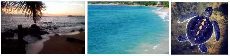 Photo of Unawatuna, Southern Province, Sri Lanka by maitlis