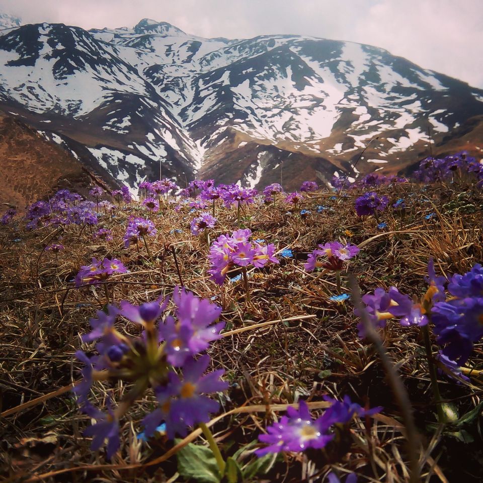 Photo of Success feeds Ambition : Himalayan peak summit 6/12 by maitlis