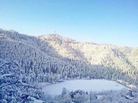Photo of 36 FACTS ABOUT SHIMLA 12/36 by Shobhana Sharma