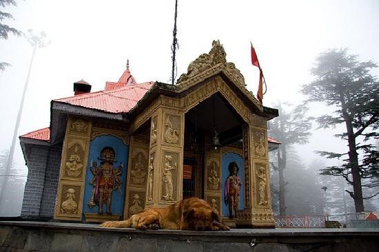 Photo of 36 FACTS ABOUT SHIMLA 20/36 by Shobhana Sharma