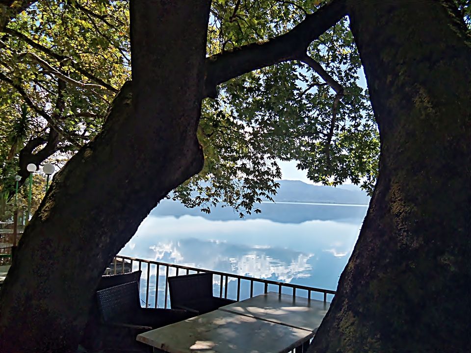 Photo of Lake Trichonida: Five pictures that “say” a lot ! 3/10 by Maria Athanasopoulou