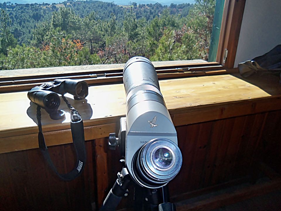 Photo of Do you love bird watching? 1/8 by Maria Athanasopoulou