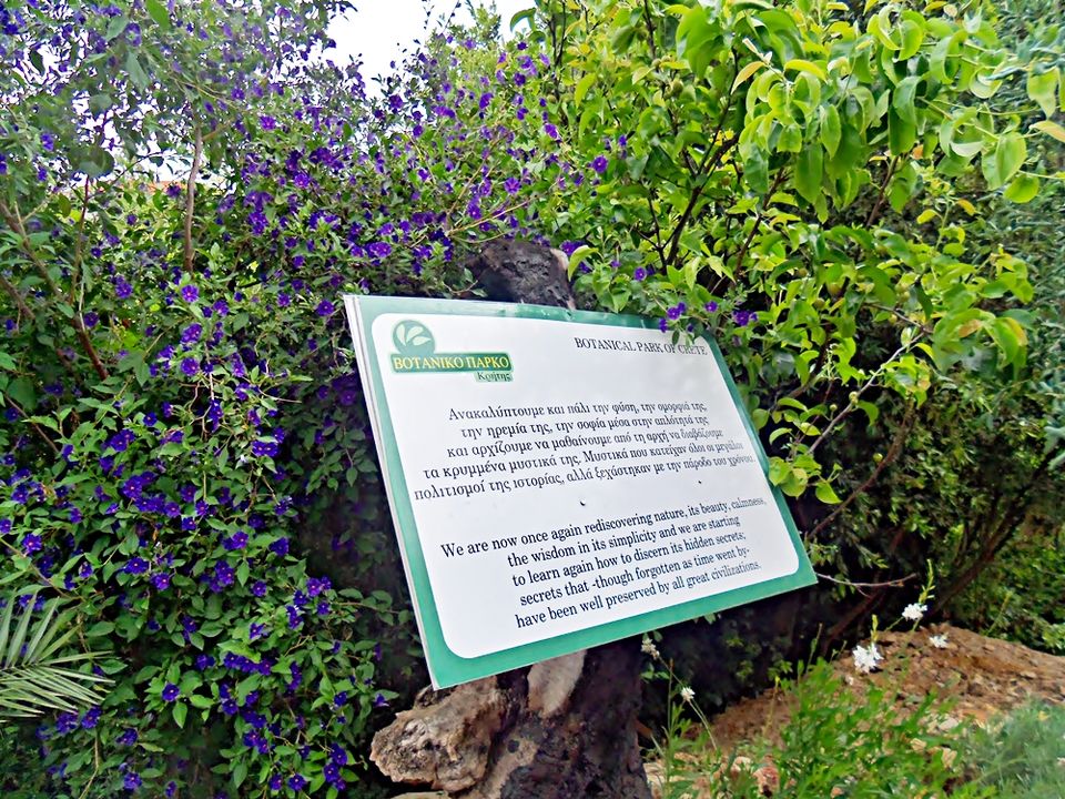 Photo of Crete Botanical Park, Greece! 2/10 by Maria Athanasopoulou