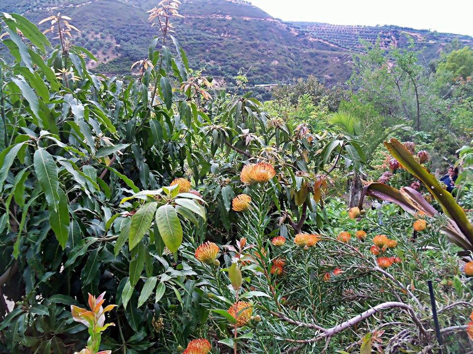 Photo of Crete Botanical Park, Greece! 4/10 by Maria Athanasopoulou