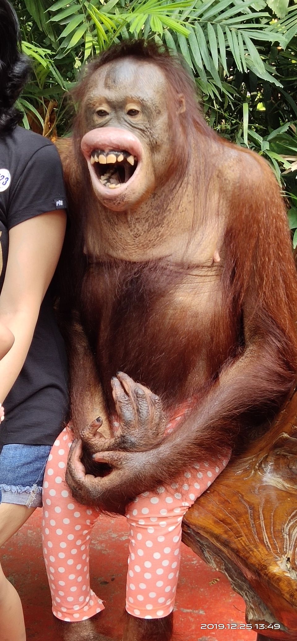 Photo of Family Trip To Thailand (Christmas Holidays): Bangkok 4 days and Phuket 2 days 11/17 by Freeda D'souza