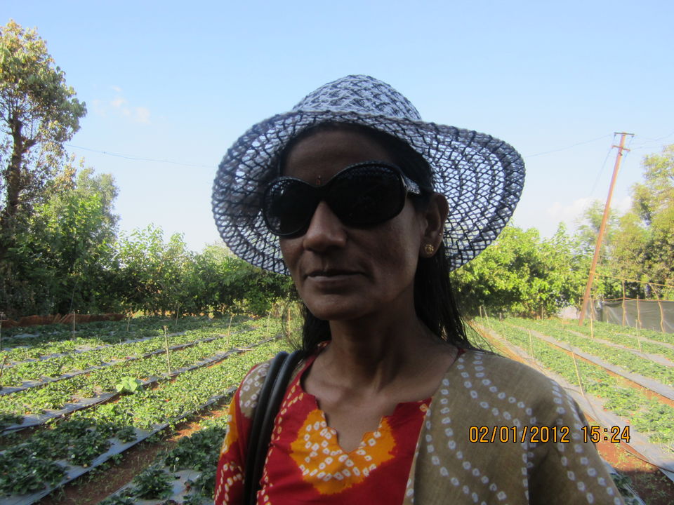 Photo of FAMILY TRIP FROM TO LONAVALA-KHANDALA-GOA-MAHABALESHWAR-PANCHGINI . 35/35 by Freeda D'souza