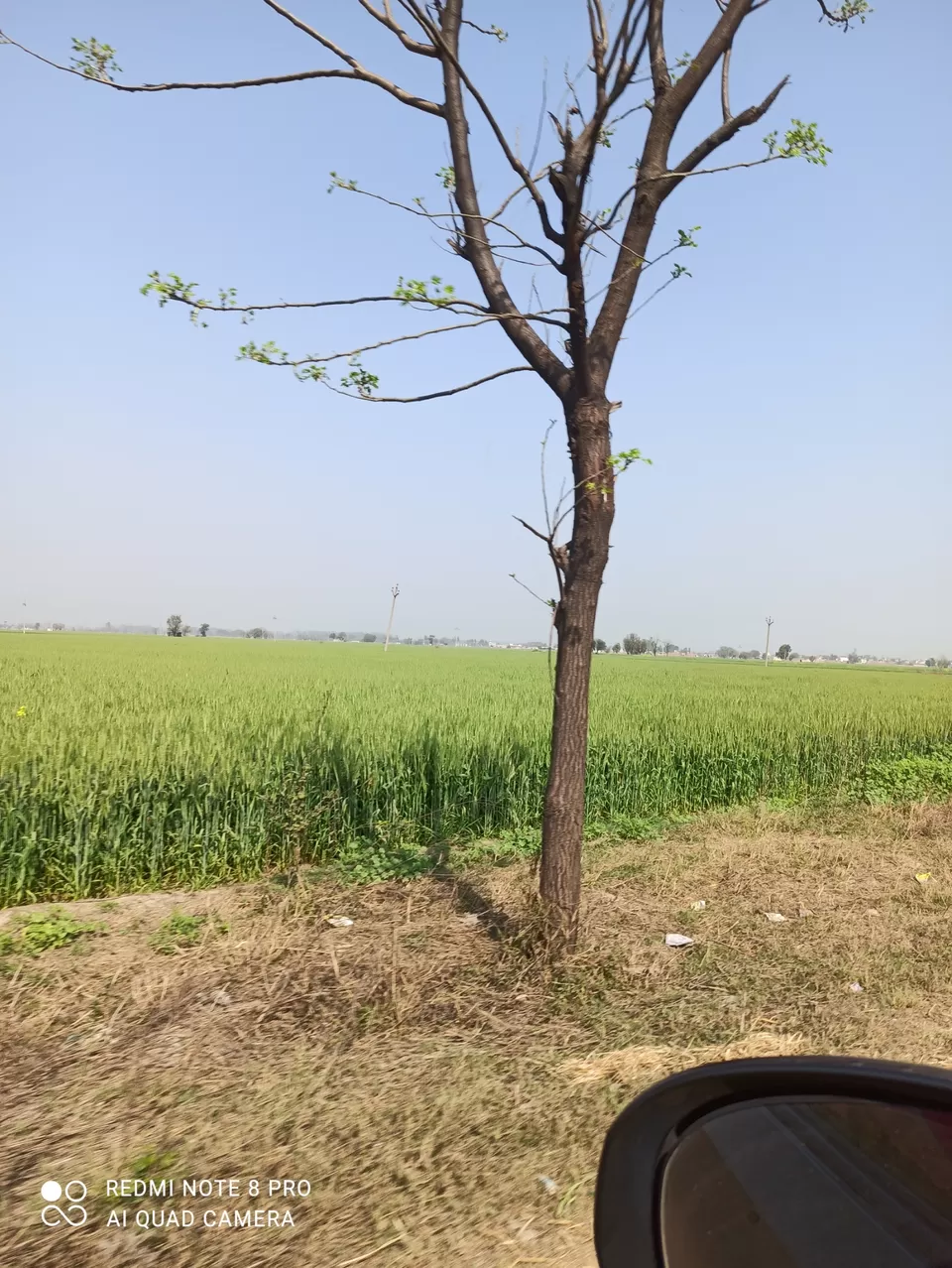Photo of Trip to Ludhiana by VIkas Kumar Pachisia