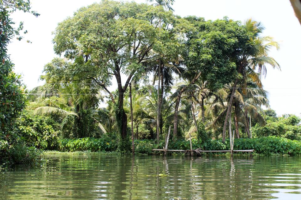 Photo of Solo in Allapuzha #BestOfTravel by sylavi varma