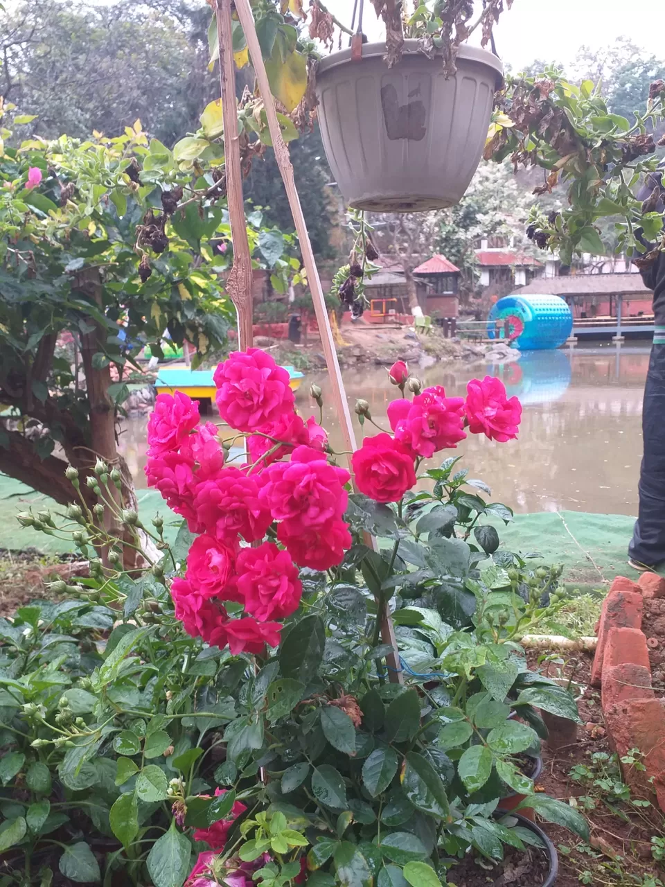 Photo of All in one resort in northeast Guwahati #firstroadtrip by Travel with rohan✈️✈️