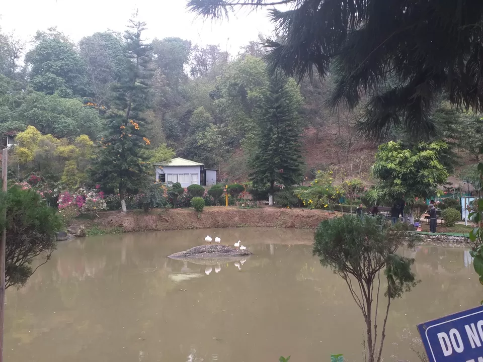 Photo of All in one resort in northeast Guwahati #firstroadtrip by Travel with rohan✈️✈️