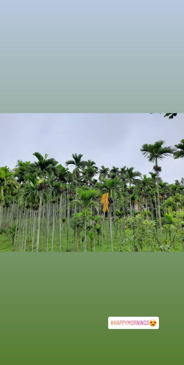 Photo of Banglore dairies 01 by ऋतुजा शेट्टी