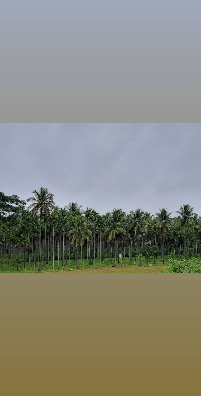 Photo of Banglore dairies 01 by ऋतुजा शेट्टी
