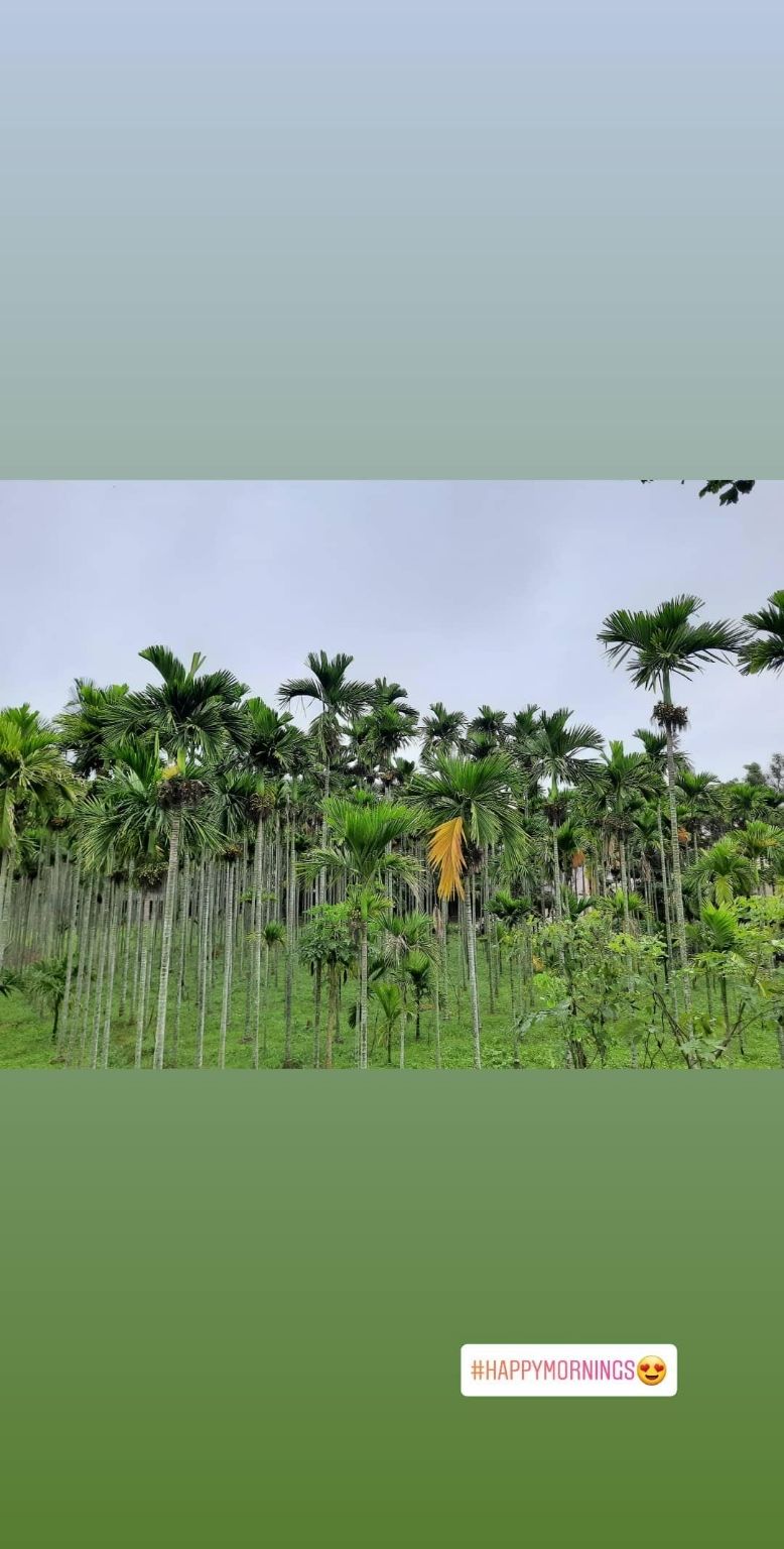 Photo of Banglore dairies 01 by ऋतुजा शेट्टी