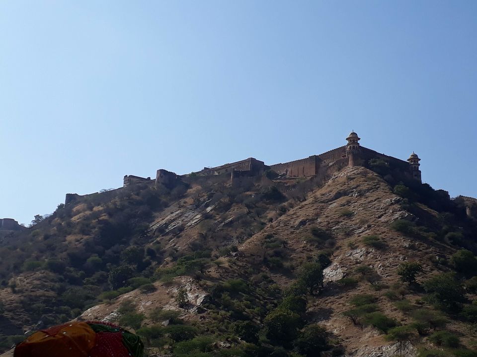 Photo of The Pink City #End2020 11/16 by Manoo Bhatnagar