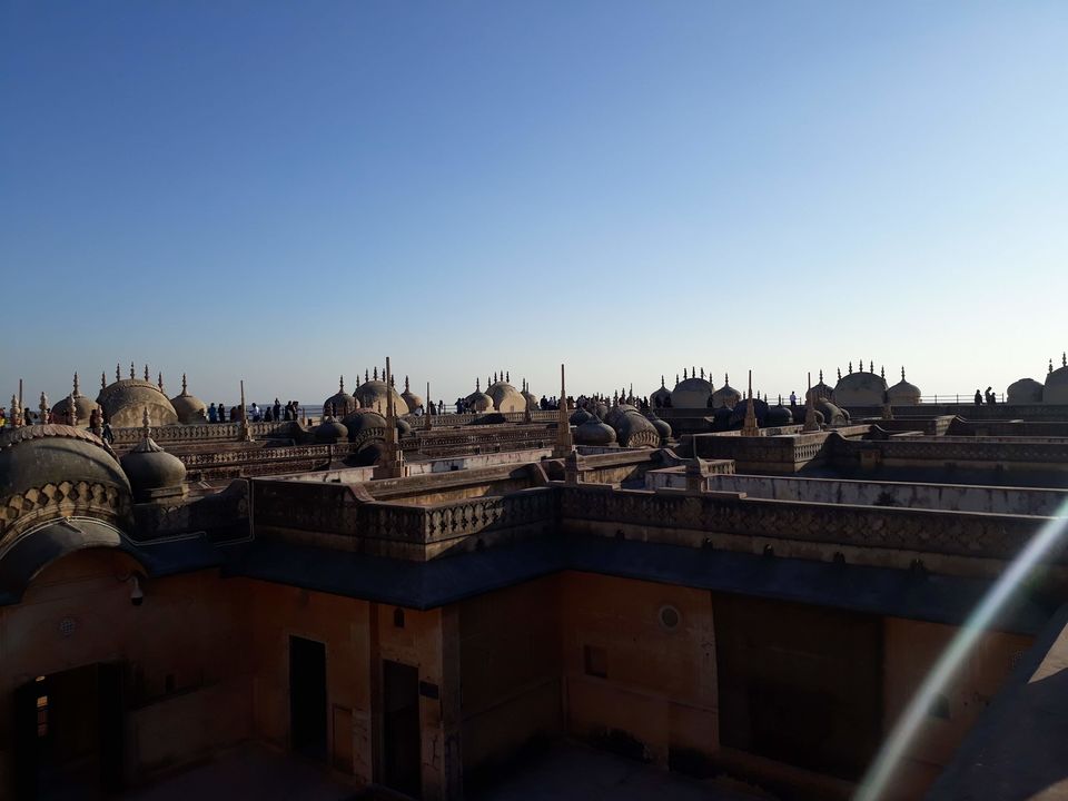 Photo of The Pink City #End2020 15/16 by Manoo Bhatnagar