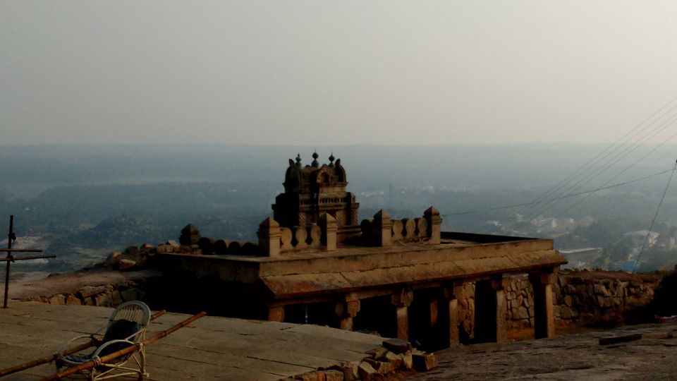 Photo of In Nature's Lap – Sakleshpur 2/9 by Vivek Kumar