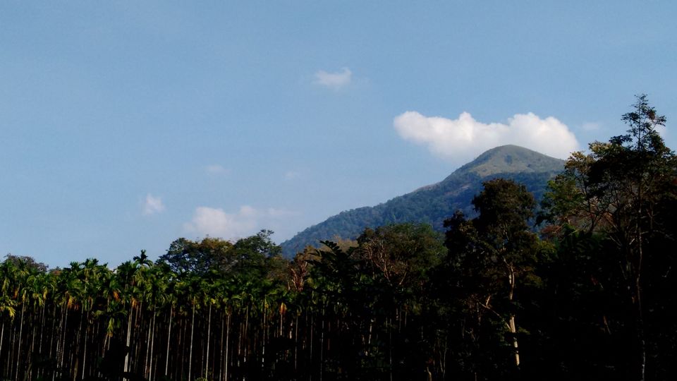 Photo of In Nature's Lap – Sakleshpur 6/9 by Vivek Kumar