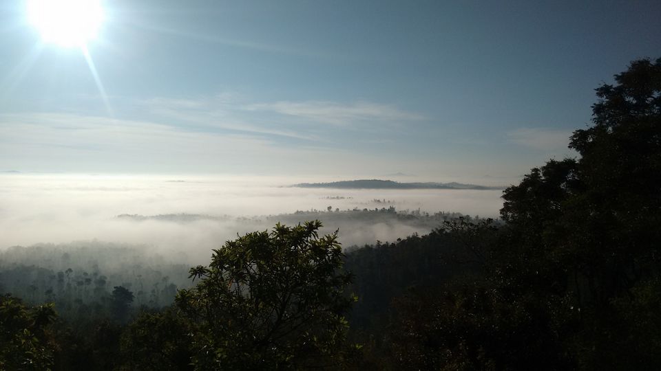 Photo of In Nature's Lap – Sakleshpur 7/9 by Vivek Kumar