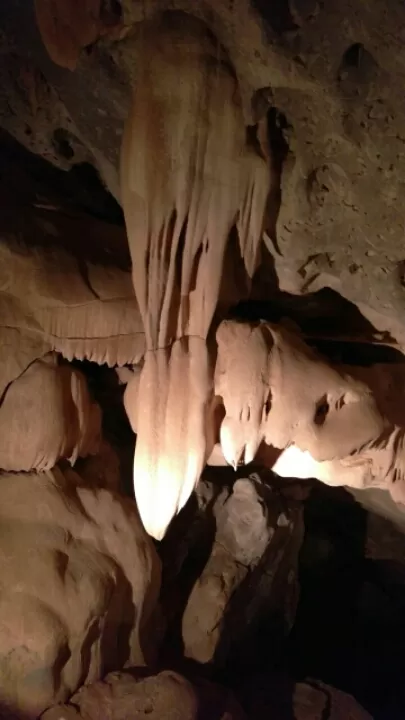 Photo of Al Hoota Caves- A worthy place to visit in middle east by sriram mohan