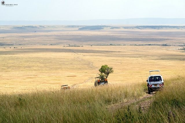 Photo of Masai Mara National Reserve, Narok County, Kenya by sriram mohan