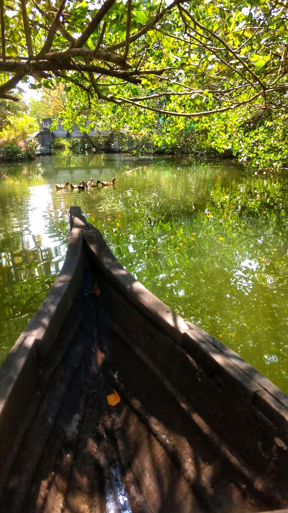 Photo of Hidden Gems of "God's Own Country" by Sravanthi Rvs