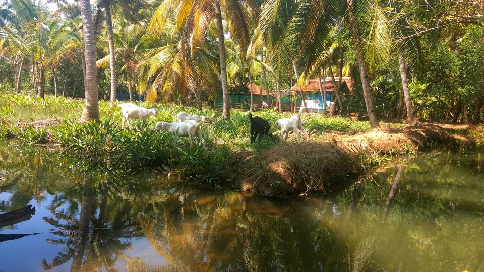 Photo of Hidden Gems of "God's Own Country" by Sravanthi Rvs