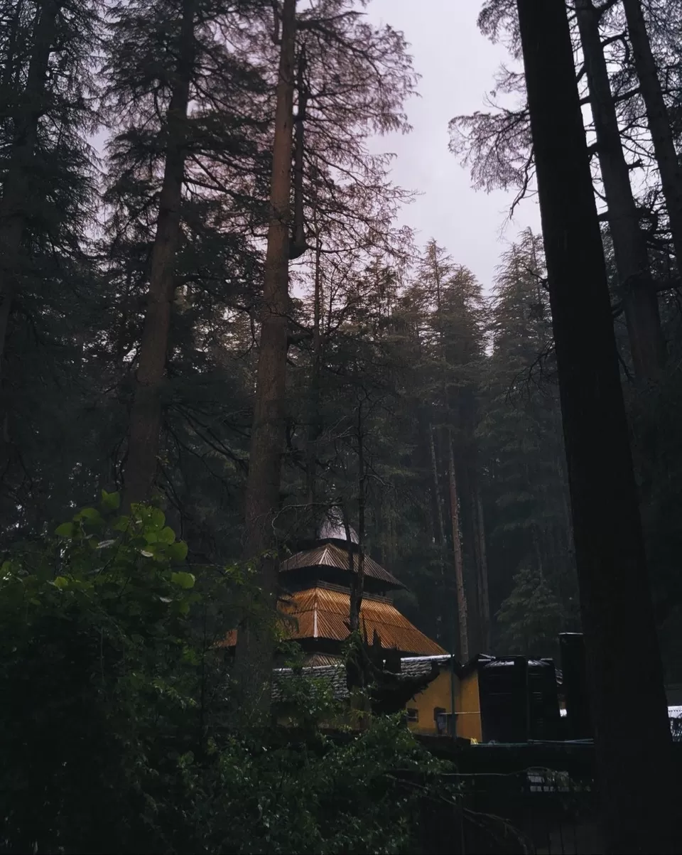 Photo of Hadimba Devi Temple, Hadimba Temple Road, Old Manali, Manali, Himachal Pradesh, India by Navneet Kaur