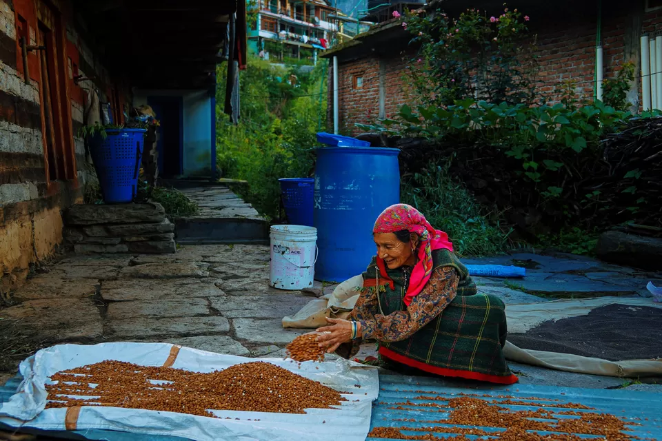 Photo of Manu Temple Road, Old Manali, Manali, Himachal Pradesh, India by Navneet Kaur