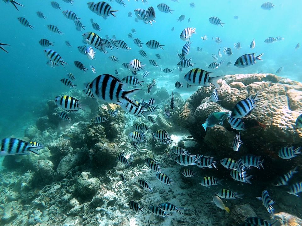 Photo of #1 Discover Coron island in 4 days by PetKa Adventures