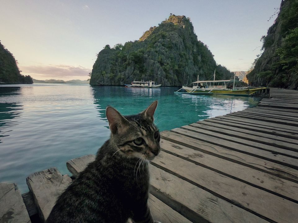 Photo of Kayangan Lake, Coron, Palawan, Filipini by PetKa Adventures